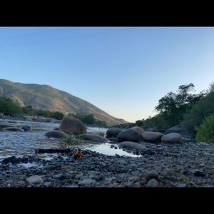 Meet your Posher, Oscar